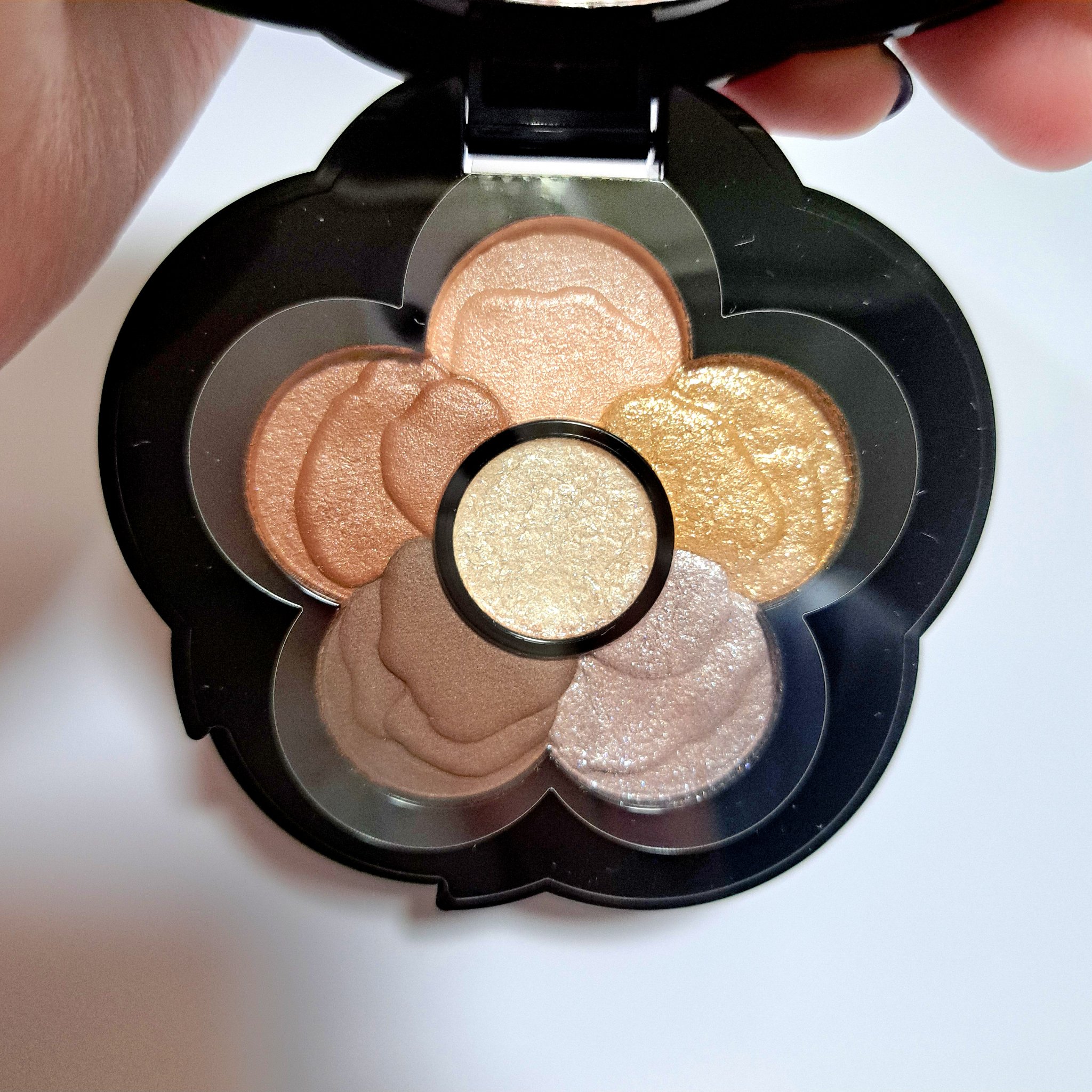 チアリー カラーズ フォー アイズ/MARY QUANT/アイシャドウパレットを使ったクチコミ（1枚目）