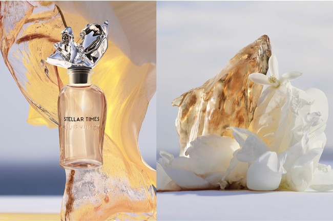 ステラ― タイムズ