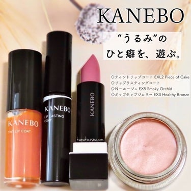 カネボウ Nールージュ/KANEBO/口紅を使ったクチコミ（6枚目）