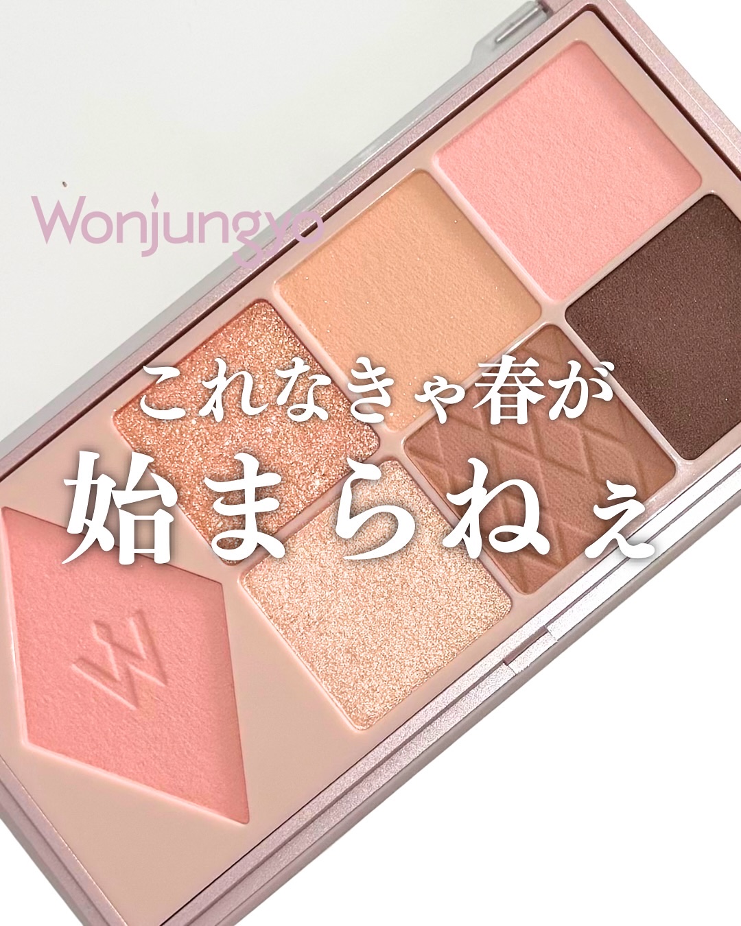ウォンジョンヨ Ｗ デイリームードアップパレット /Wonjungyo/アイシャドウパレットを使ったクチコミ（1枚目）