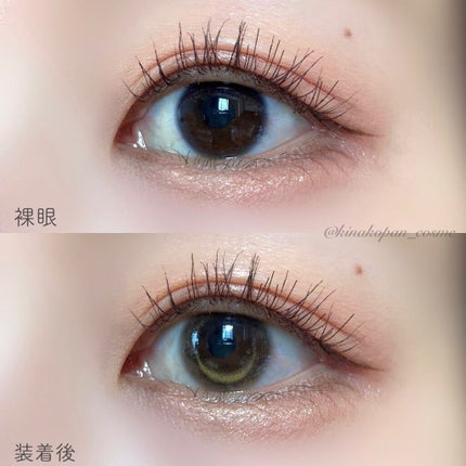 ワンデーリフレア アイムーン/Refrear/その他を使ったクチコミ(3枚目)