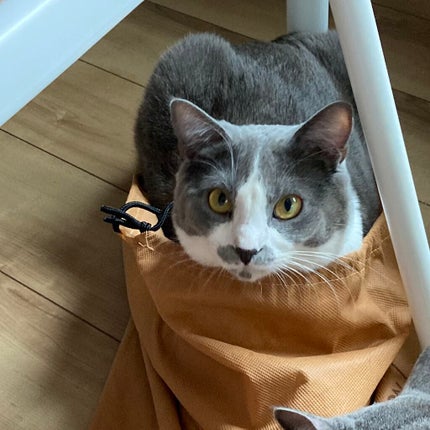 ミニネイル/パラドゥ/マニキュアを使ったクチコミ(8枚目)