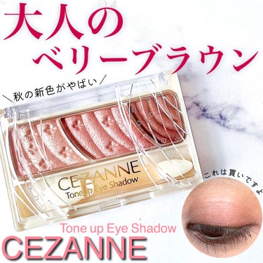 トーンアップアイシャドウ/CEZANNE/パウダーアイシャドウを使ったクチコミ（1枚目）