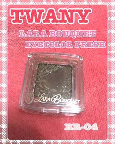 
TWANY LARA BOUQUET EYECOLOR FRESH
トワニー ララブーケ アイカラーフレッシュ
¥1,200円(税抜き)

BR-04 グラマラスブラウン
異国で見つけたリューカデンド