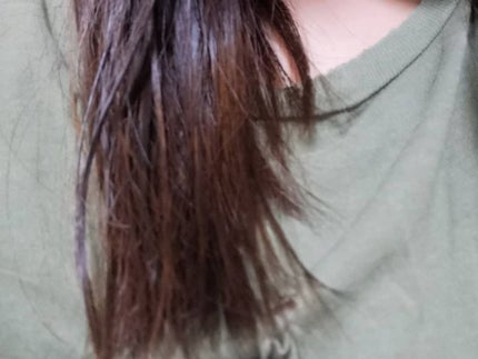 モイストエアリーシャンプー1.0/&herb/市販シャンプーを使ったクチコミ(4枚目)