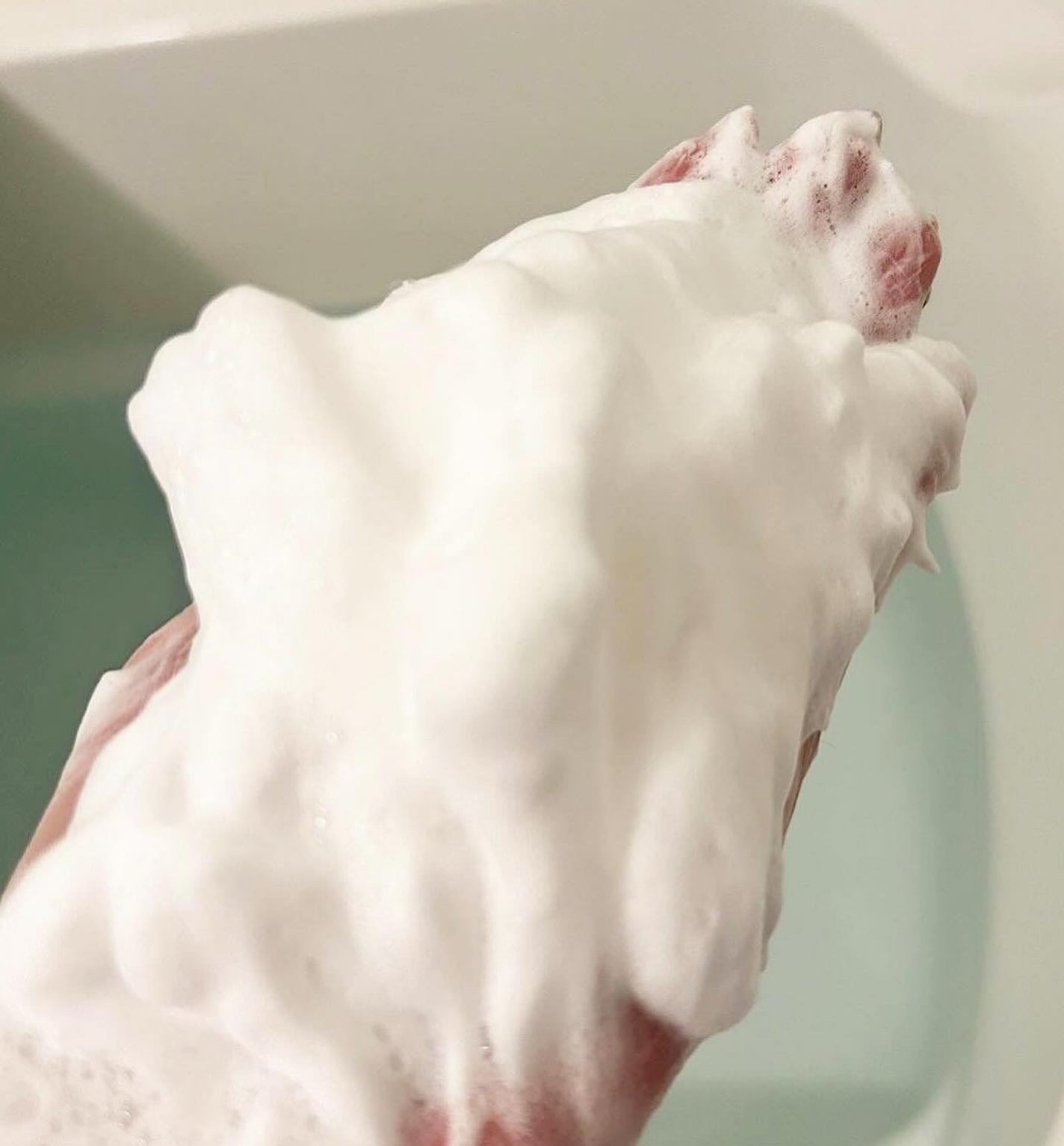 アロエモイストシャンプー/アロジン/市販シャンプーを使ったクチコミ(2枚目)