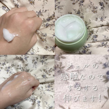 プレミ アムビーガン 雪蓮ヒアルロン酸保湿クリーム/dinsee/フェイスクリームを使ったクチコミ(2枚目)