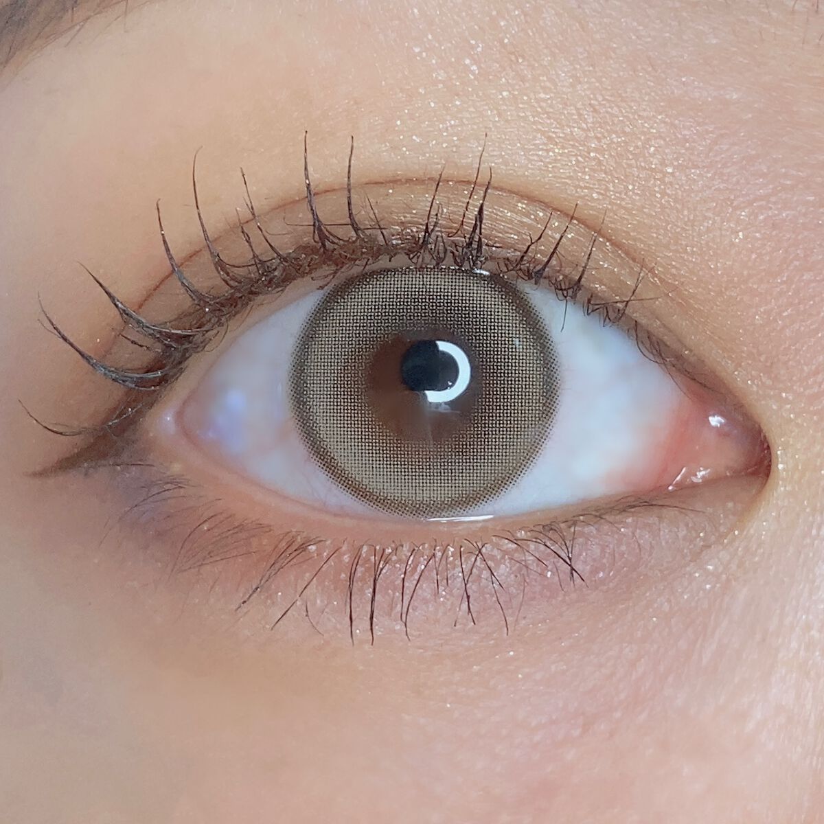 Suger High Kristin/Hapa kristin/カラーコンタクトレンズを使ったクチコミ（3枚目）