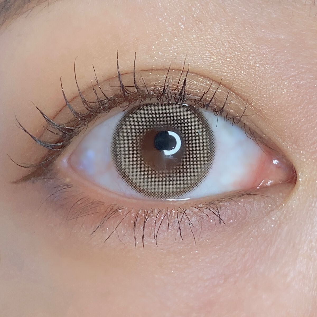 Suger High Kristin/Hapa kristin/カラーコンタクトレンズを使ったクチコミ(3枚目)