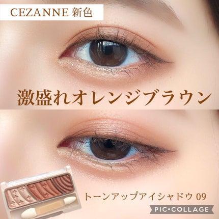 トーンアップアイシャドウ/CEZANNE/アイシャドウパレットを使ったクチコミ(1枚目)