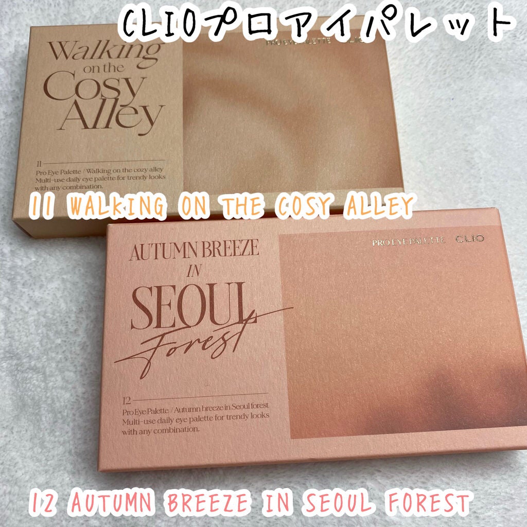 プロ アイ パレット/CLIO/アイシャドウパレットを使ったクチコミ(2枚目)