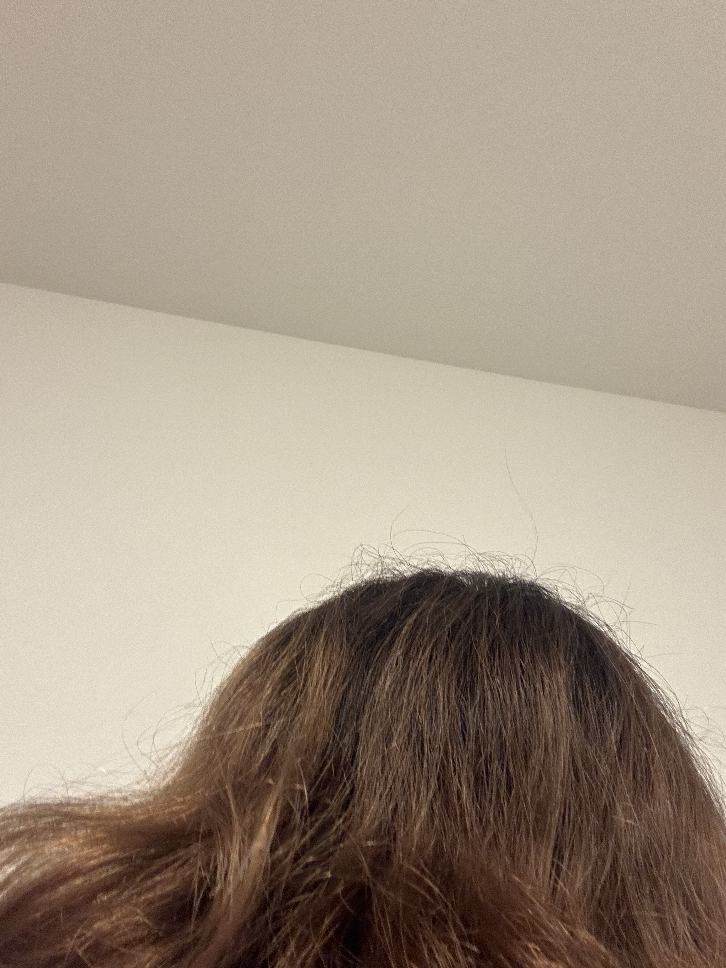 メイクアップカラー ブルーブラック/ビューティーン/ヘアカラーを使ったクチコミ（3枚目）