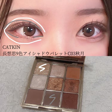 長相思シリーズ 9色アイシャドウパレット/CATKIN/パウダーアイシャドウを使ったクチコミ（3枚目）