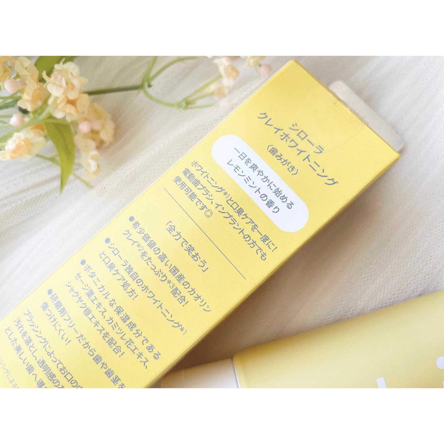 シローラクレイホワイトニング レモンミント/Shirora/歯磨き粉を使ったクチコミ（3枚目）