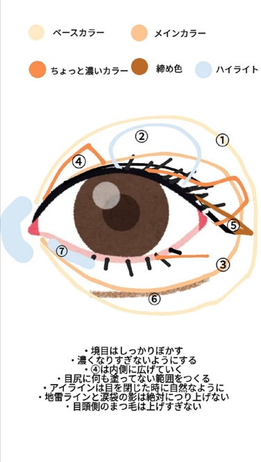 【旧品】パーフェクトスタイリストアイズ/キャンメイク/アイシャドウパレットを使ったクチコミ（2枚目）