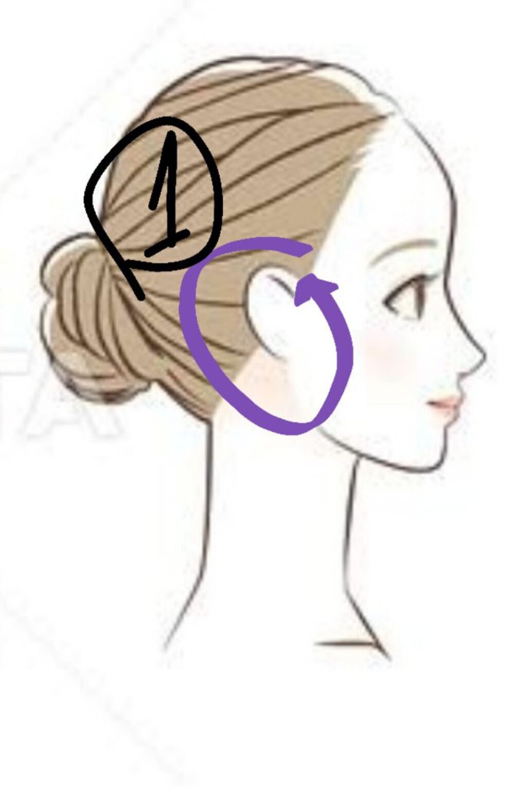 このは on LIPS 「今日はこれ!美容整体師がすすめる、むくみ取り方法を紹介します(..」(2枚目)