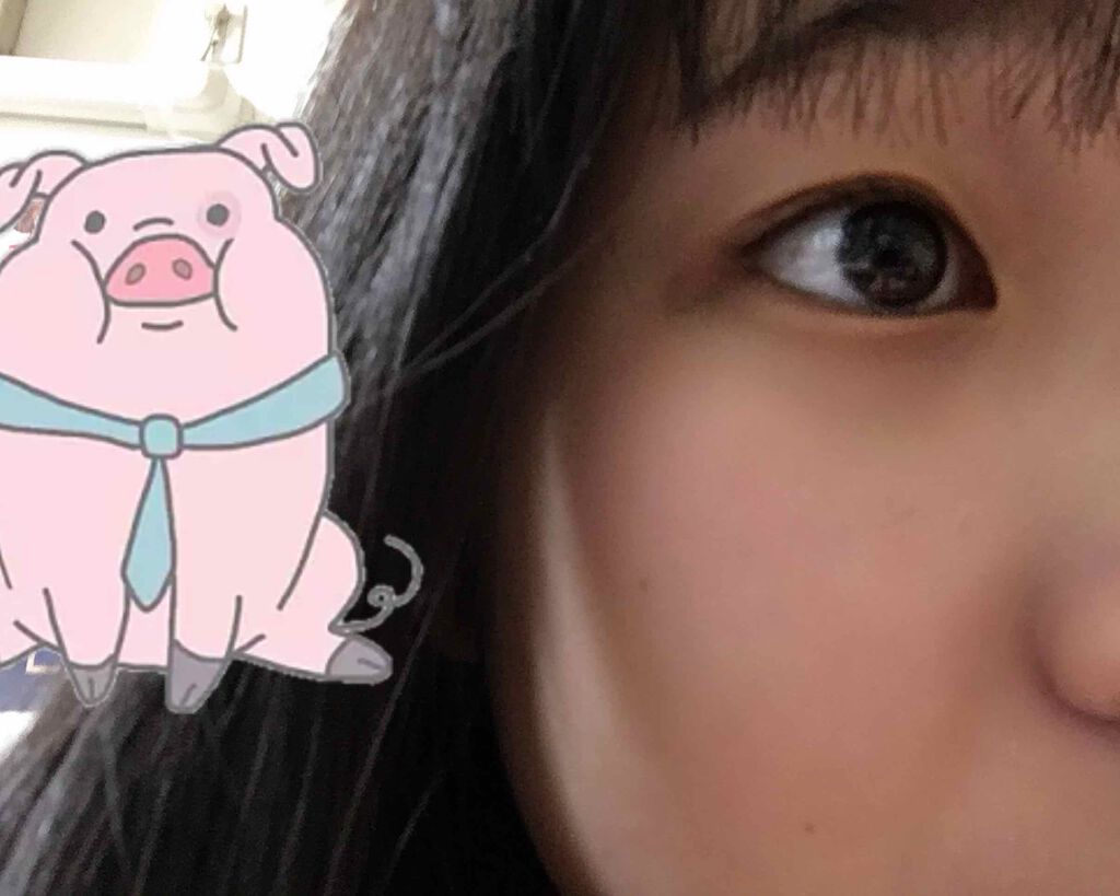 カラールースパウダー/毛穴パテ職人/ルースパウダーを使ったクチコミ（2枚目）