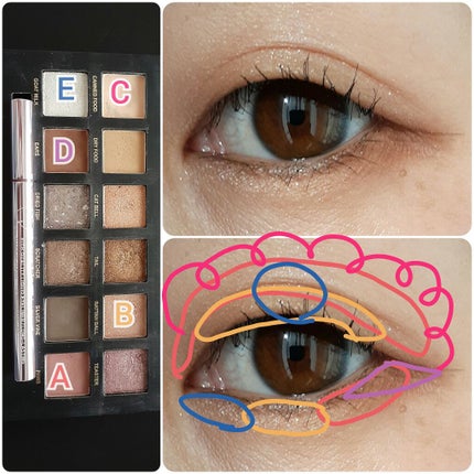 エクスプローラ12色 動物アイシャドウパレット/PERFECT DIARY/アイシャドウパレットを使ったクチコミ(2枚目)