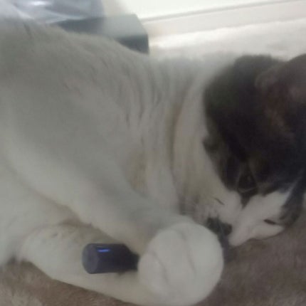 エテュセ アイエディション (マスカラベース)/ettusais/マスカラ下地を使ったクチコミ(2枚目)