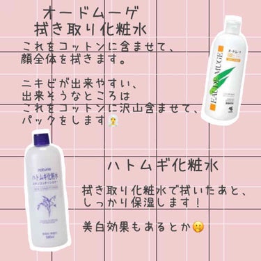 ハトムギ化粧水(ナチュリエ スキンコンディショナー R )/ナチュリエ/化粧水を使ったクチコミ（4枚目）