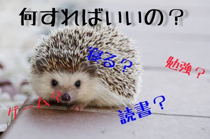 自己紹介/雑談/その他を使ったクチコミ(2枚目)