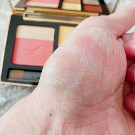 コンスピキュアス アイ&チークカラーパレット リミテッドコレクション a/Amplitude/アイシャドウパレットを使ったクチコミ(2枚目)