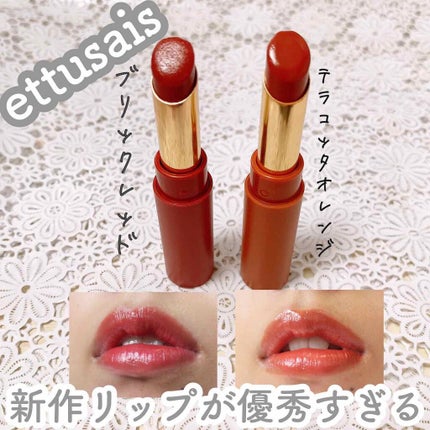 エテュセ リップエディション(ティントルージュ)/ettusais/リップティントを使ったクチコミ(1枚目)