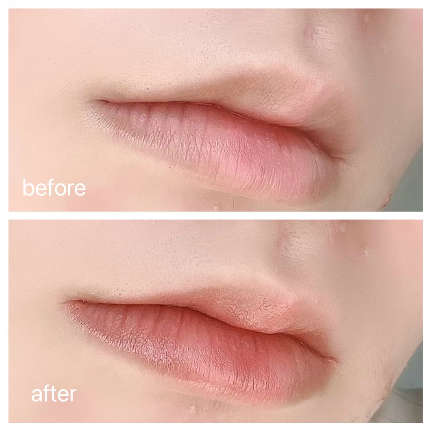 ネンマクフェイク ルージュ/Visée/口紅を使ったクチコミ(2枚目)