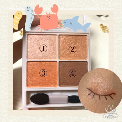 シルキースフレアイズ/キャンメイク/アイシャドウパレットを使ったクチコミ(2枚目)