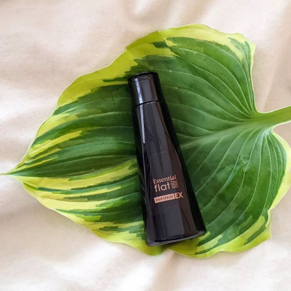 くせ・うねりときほぐしセラムEX/エッセンシャル flat/ヘアオイルを使ったクチコミ(1枚目)