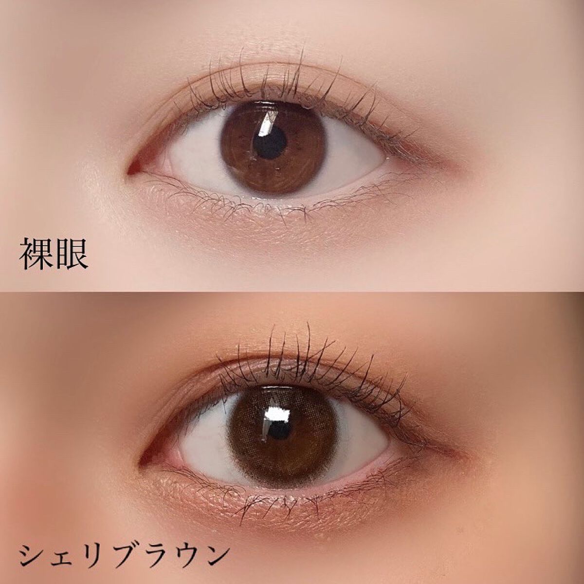 ramurie ラムリエ/ramurie/ワンデー(1DAY)カラコンを使ったクチコミ(2枚目)