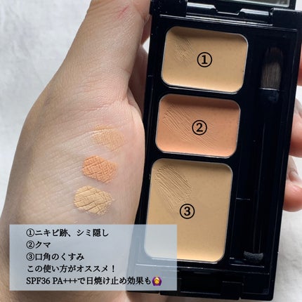 ミネラルコンシーラーパレット/エトヴォス/パレットコンシーラーを使ったクチコミ(2枚目)