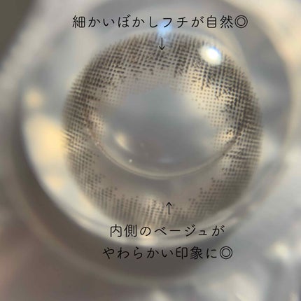 ReVIA 1day/ReVIA/ワンデー(1DAY)カラコンを使ったクチコミ(3枚目)