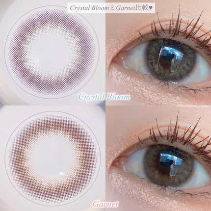 TOPARDS 1day/TOPARDS/ワンデー(1DAY)カラコンを使ったクチコミ(5枚目)