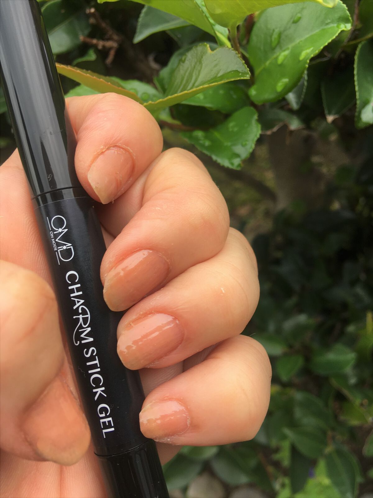 チャームスティックジェル/OMD/オールインワンネイルを使ったクチコミ（1枚目）