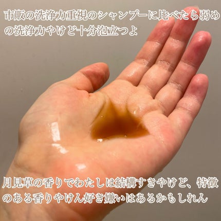 L&Aコンディショナー N/john masters organics/コンディショナー単品を使ったクチコミ(5枚目)