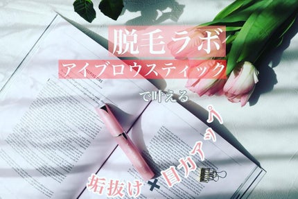 眉用シェーバー アイブロウスティック/脱毛ラボ/シェーバーを使ったクチコミ(1枚目)