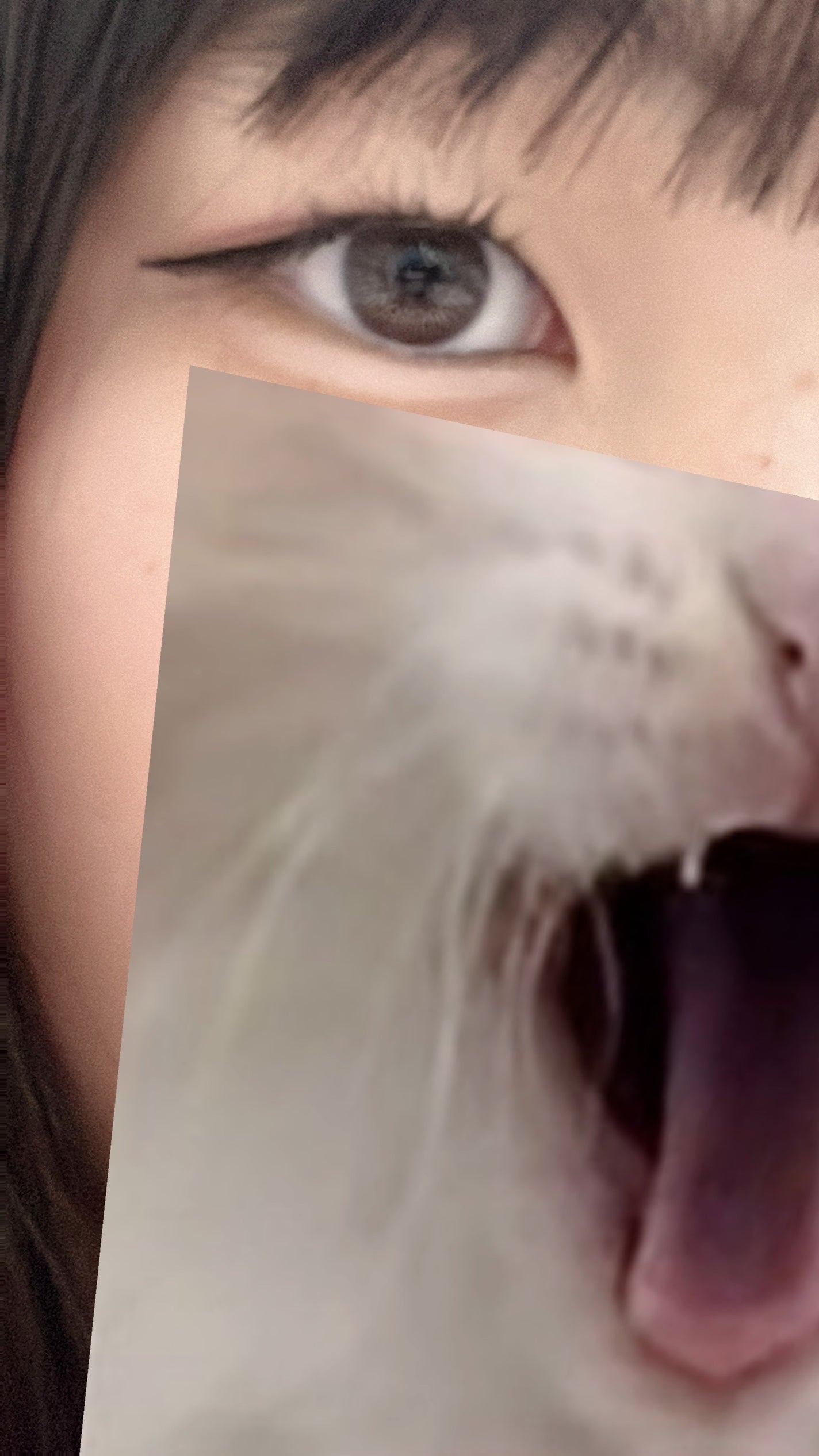 ラッシュニスタ N/MAYBELLINE NEW YORK/マスカラを使ったクチコミ(1枚目)