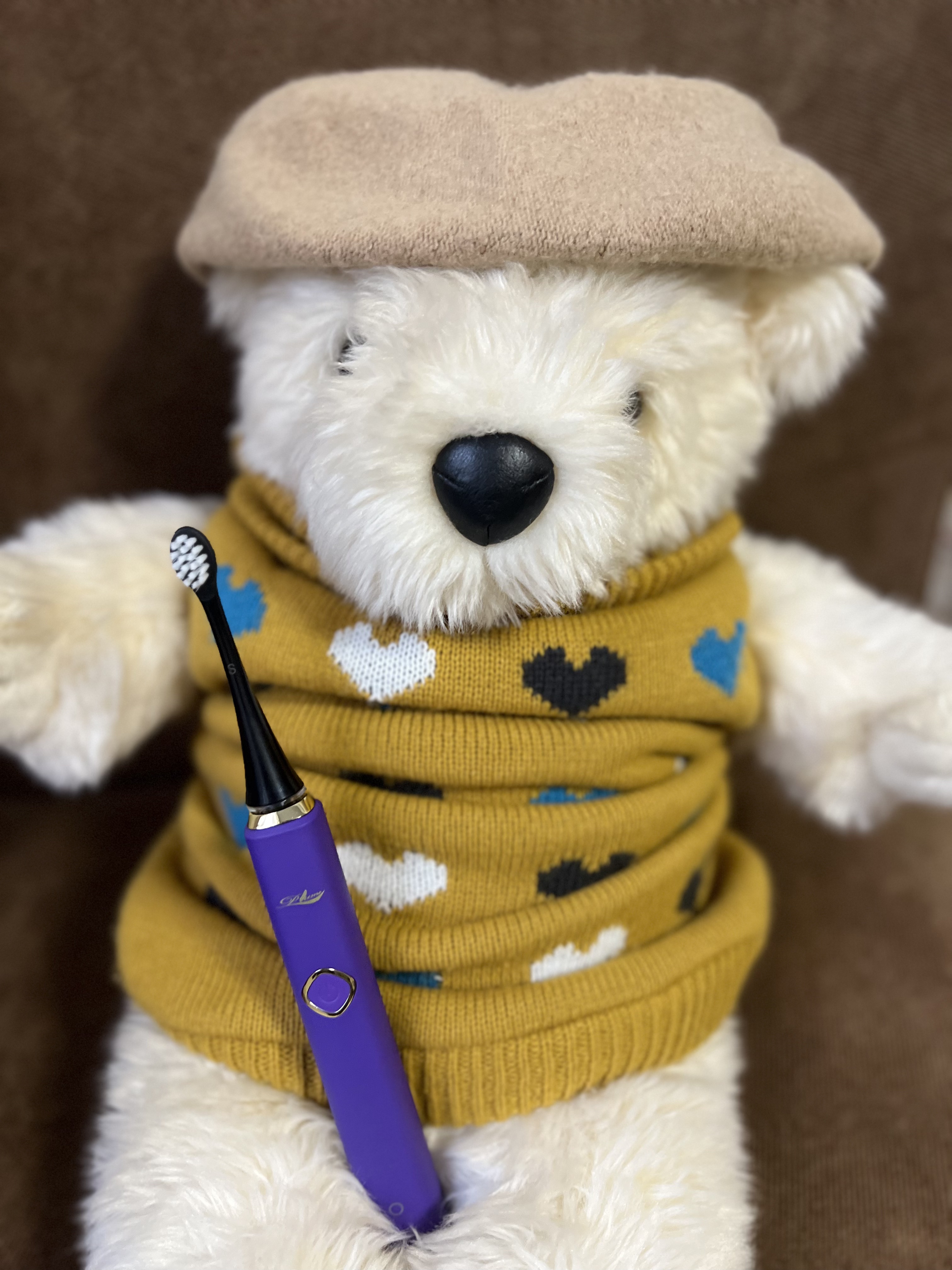 リニア音波歯ブラシ　Plume/Plume/電動歯ブラシを使ったクチコミ（1枚目）