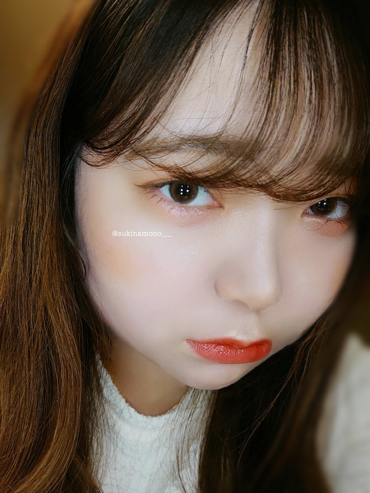 エクスプローラ12色 動物アイシャドウパレット/PERFECT DIARY/アイシャドウパレットを使ったクチコミ（3枚目）