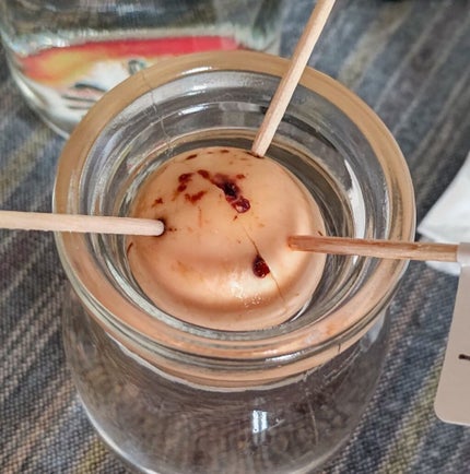 ガラス花瓶/DAISO/その他を使ったクチコミ(1枚目)