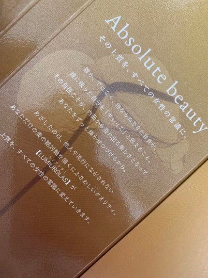 スキルレスライナー/LUMIURGLAS/リキッドアイライナーを使ったクチコミ(4枚目)