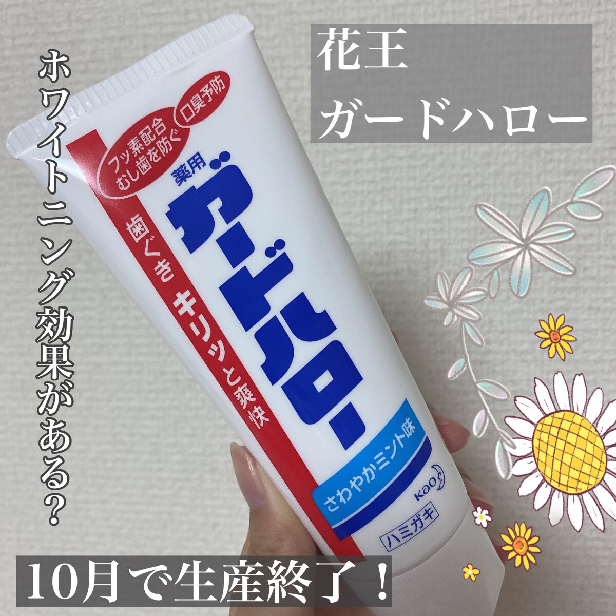 ガードハロー 薬用ハミガキ/花王/歯磨き粉を使ったクチコミ(1枚目)