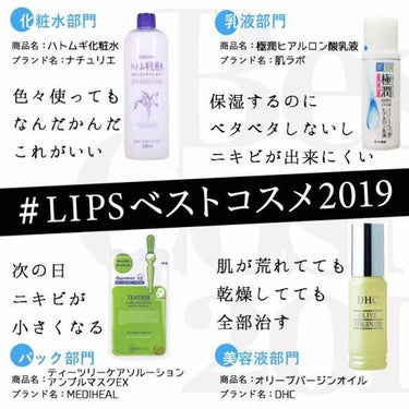 ○2019ベスコス 〜スキンケア編〜○

#LIPSベストコスメ2019


🏆ベスト化粧水🏆

#ナチュリエ
#ハトムギ化粧水

2019年、いろんな化粧水を使いました。保湿系、ニキビ安静系、、でも結