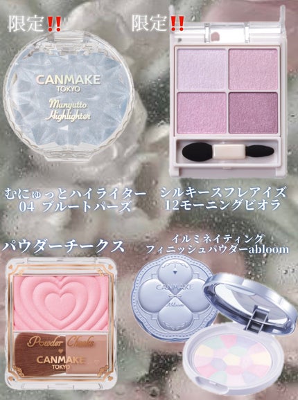 シルキースフレアイズ/キャンメイク/アイシャドウパレットを使ったクチコミ(2枚目)
