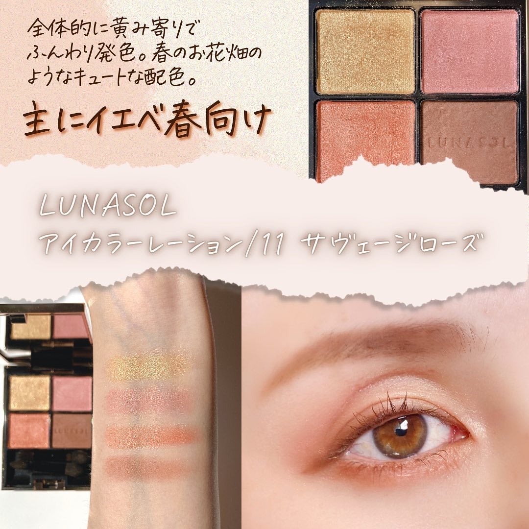 アイカラーレーション/LUNASOL/アイシャドウパレットを使ったクチコミ(3枚目)