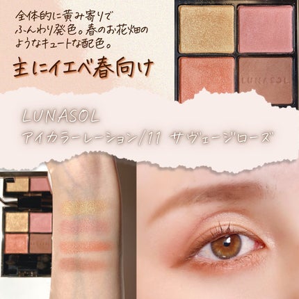 アイカラーレーション/LUNASOL/アイシャドウパレットを使ったクチコミ(3枚目)