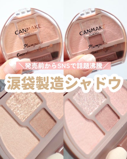 プランぷくコーデアイズ/キャンメイク/パウダーアイシャドウを使ったクチコミ(1枚目)