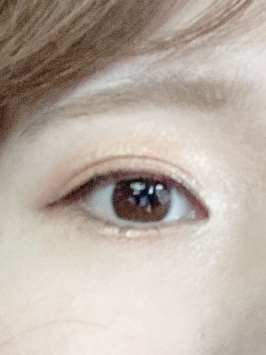 アイブロウフィルター/ドーリーウインク/眉マスカラを使ったクチコミ（3枚目）