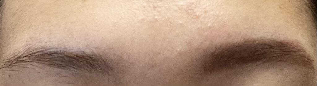 ノーズ＆アイブロウパウダー/CEZANNE/パウダーアイブロウを使ったクチコミ（3枚目）